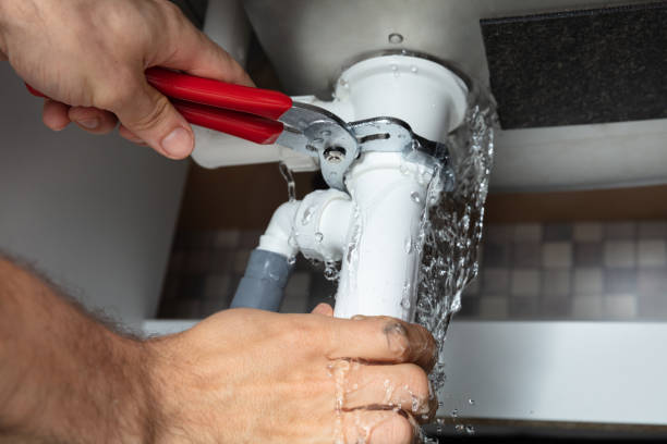 Best Mold removal after water damage  in Perry, FL