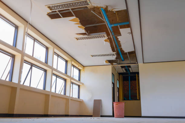  Perry, FL Water damage restoration Pros