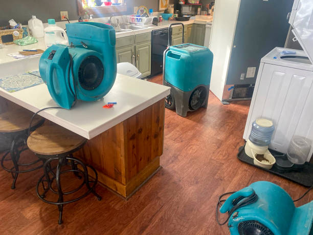 Best 24-hour water damage restoration  in Perry, FL