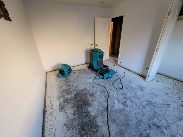 Best 24/7 water damage repair  in Perry, FL