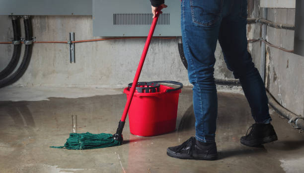 Best Water damage repair service  in Perry, FL