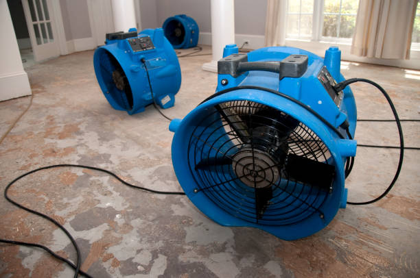 Best Water damage restoration near me  in Perry, FL