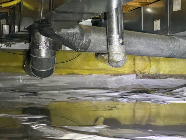 Best Water damage contractors near me  in Perry, FL
