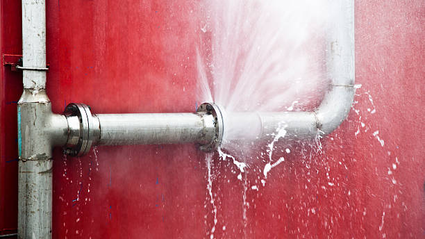 Best Water damage cleanup near me  in Perry, FL